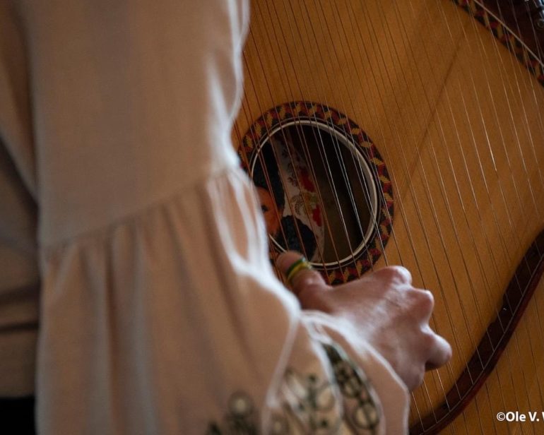 В Копенгагені волонтери Faino зібрали кошти на допомогу військовим – фото